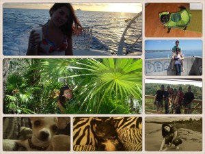 Social Media Images